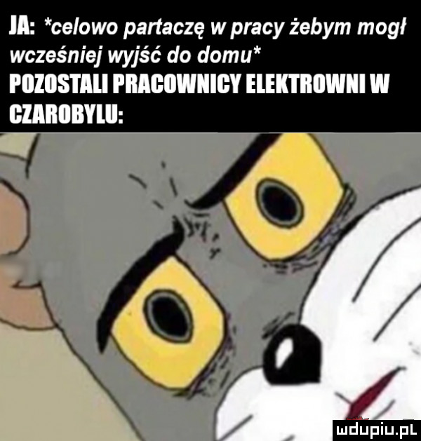 ll celowo partaczę w pracy żebym mógł wcześniej wyjść do domu piiiiis i iii pmgiiwiiigy elek i iiiiwiii w gzaiiiibyiii