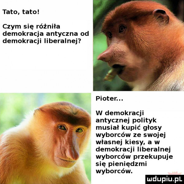tato. tato czym się różniła demokracja antyczna od demokracji liberalnej pinter. abakankami w demokracji antycznej polityk musial kupić glosy wyborców ze swojej własnej kiesy a w demokracji beralnej wyborców przekupuje się pieniędzmi wyborców