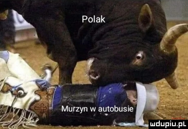 polak r i. abakankami jm murzyn w autobusie mdeiupl x