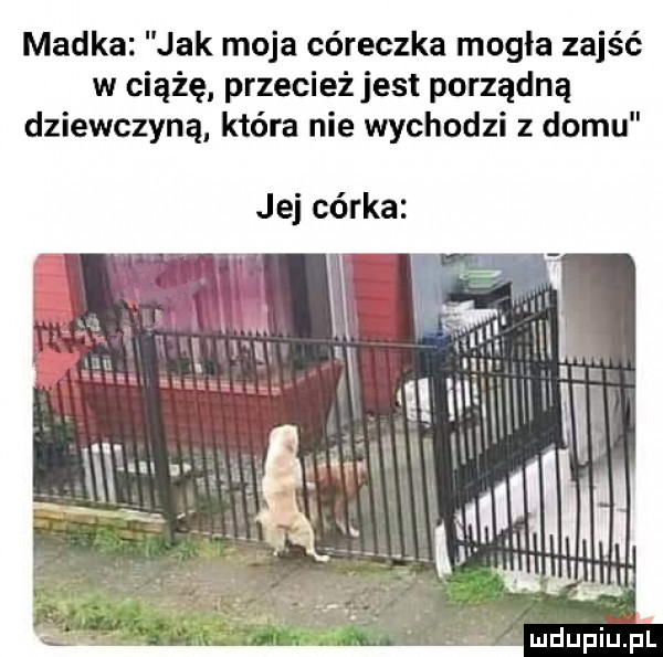 madka jak moja córeczka mogla zajść w ciążę przecież jest porządną dziewczyną która nie wychodzi z domu jej córka mdupiuﬁl