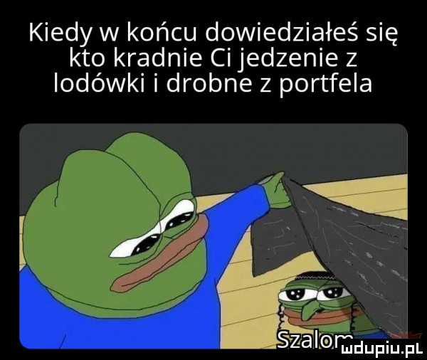 kiedy w końcu dowiedziałeś się kto kradnie ci jedzenie z lodówki i drobne z portfela w v. g a szalomdupiupl