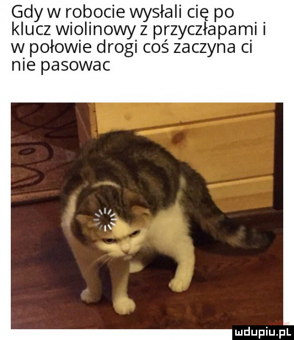 gdy w robocie wysłali cię po klucz wiolinowy z przyczłapaml w połowie drogi coś zaczyna ci nie pasowac