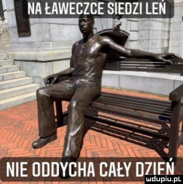 na ławeczce siedzi len nie dddycha cały  sz ww n m