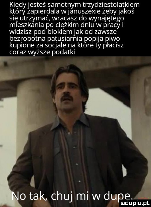 kiedyjesteś samotnym trzydziestolatkiem który zapierdala wjanuszexie żebyjakoś się utrzymać wracasz do wynajętego mieszkania po ciężkim dniu w pracy i widzisz pod blokiemjak od zawsze bezrobotna patusiarnia popija piwo kupione za socjale na ktore ty płacisz coraz wyższe podatki. i o tak chuj mi w dupe mduplu pl