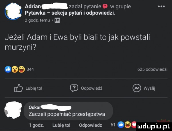 pyiawka sekcja pykań i odpowiedzi z godz temu   o adrian zadal pytanie o w grupie jeżeli adam i ewa byli biali tolak powstall murzynl ob          dław eon oskar zaczeli popełniać przestępstwa  godz. luhiętn odpowiedz m b mdupiupl