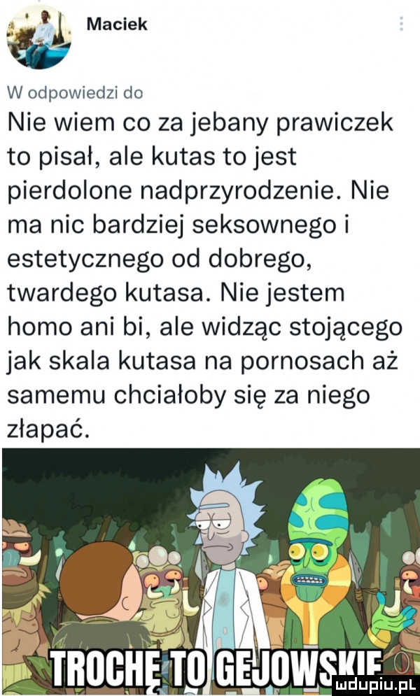 l l a maciek w odpowiedzi do nie wiem co za jebany prawiczek to pisał ale kutas to jest pierdolone nadprzyrodzenie. nie ma nic bardziej seksownego i estetycznego od dobrego twardego kutasa. nie jestem homo ani bi ale widząc stojącego jak skala kutasa na pornosach aż samemu chciałoby się za niego
