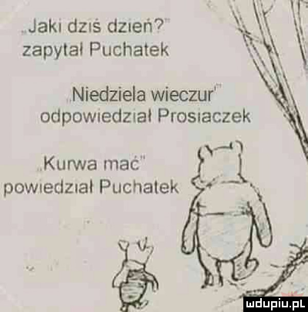 jak dzis diner u  . zapytal puchatek niedziela wilczur odpownedzuał prosiaczek kurwa mać powuedzial puchatek