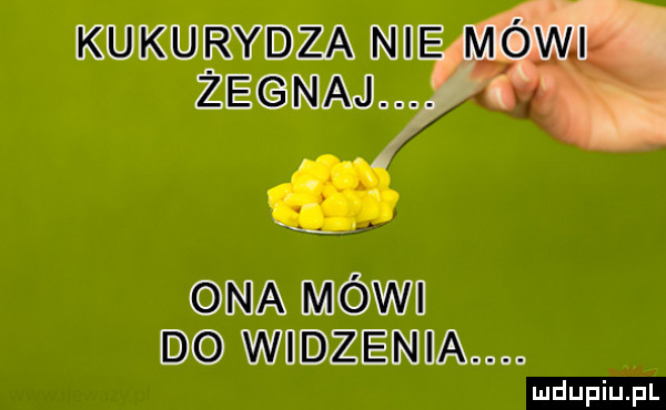 kukurydza ni zegnaj. ona mówi do widzenia