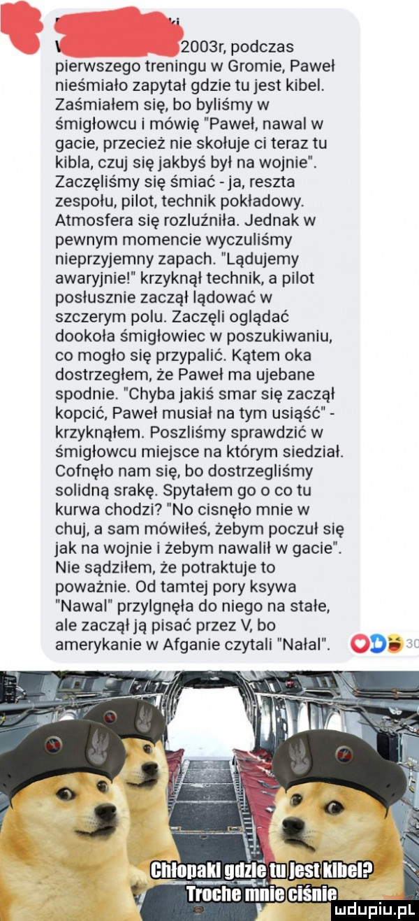 r podczas pierwszego treningu w gromie paweł nieśmiało zapytał gdzie tu jest kibel zaśmiałem się bo byliśmy w śmigłowcu i mówię paweł nawał w gacie przecież nie skołuje ci teraz tu kibla czuj się jakbyś byl na wojnie. zaczęliśmy się śmiać ja. reszta zespołu pilot technik pokładowy. atmosfera się rozluźniła. jednak w pewnym momencie wyczuliśmy nieprzyjemny zapach. lądujemy awaryjnie krzyknął technik a pilot posłusznie zaczął lądować w szczerym polu. zaczęli oglądać dookoła śmigłowiec w poszukiwaniu co mogło się przypalić. kątem oka dostrzegłem ze pawel ma ujebane spodnie. chyba jakiś smar się zaczął kopcić pawel musial na tym usiąść krzyknąłem. poszliśmy sprawdzić w śmigłowcu miejsce na którym siedział. cofnęło nam się bo dostrzegliśmy solidną srakę. spytałem go o co tu kurwa chodzi no cisnęło mnie w chuj a sam mówiłeś zebym poczul się jak na wojnie i zebym nawalił w gacie. nie sądziłem że potraktuje to powaznie.  d tamtej pory ksywa nawal przylgnęła do niego na stałe ale zaczal ją pisać przez v bo amerykanie w afganie czytali nadal. de v   gmo