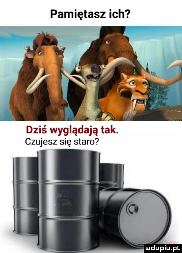 pamiętasz ich   dziś wyglądają tak. czujesz się staro