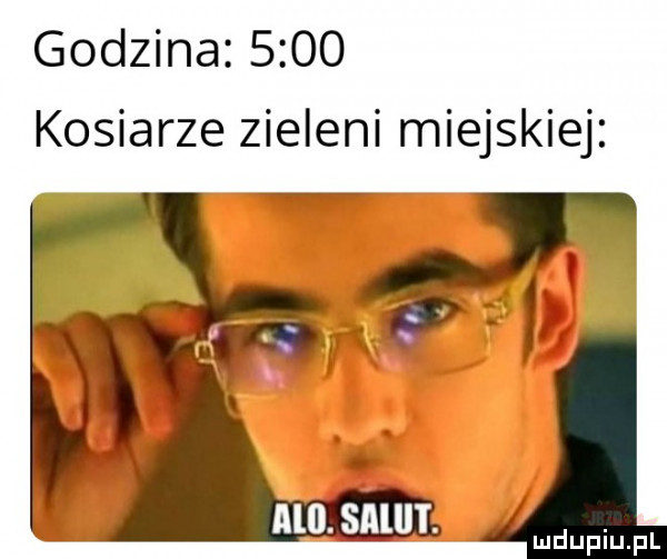 godzina      kosiarze zieleni miejskiej