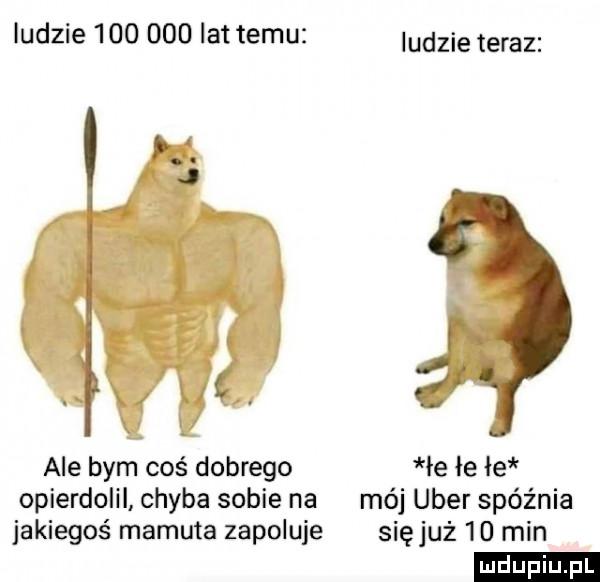 indzie         lat temu ale bym coś dobrego opierdolil chyba sobie na jakiegoś mamuta zapoluje indzie teraz łe łe łe mój umer spóźnia sięjuż    min ludu iu. l