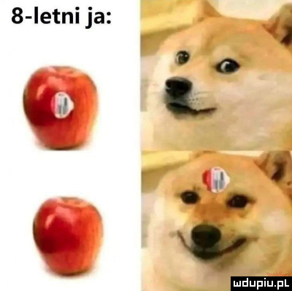 i f l to i i   istni ja r