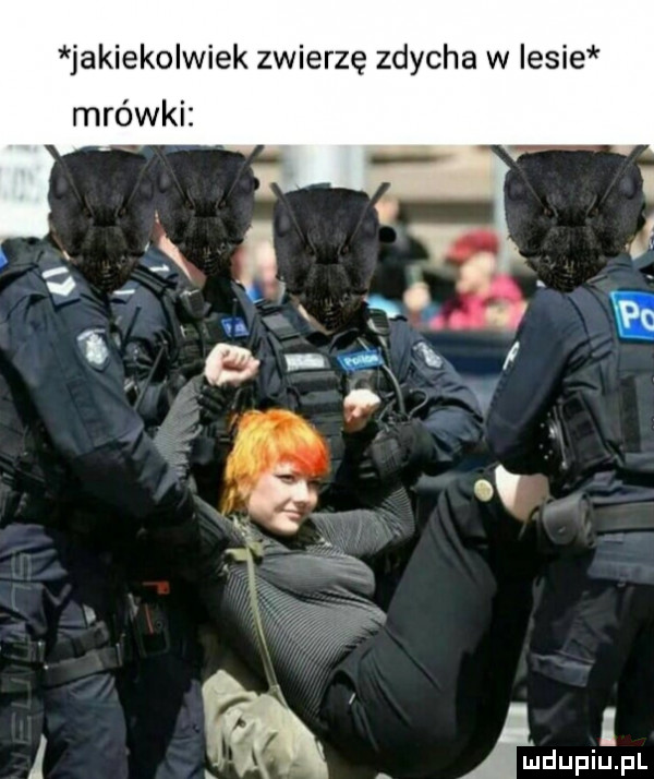 jakiekolwiek zwierzę zdycha w lesie