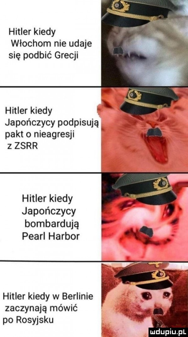 hitler kiedy włochom nie udaje się podbić grecji hitler kiedy japończycy podpisują pakt o nieagresji z zsrr hitler kiedy japończycy bombardują pearl harbor i q. hitler kiedy w berlinie zaczynają mówić po rosyjsku