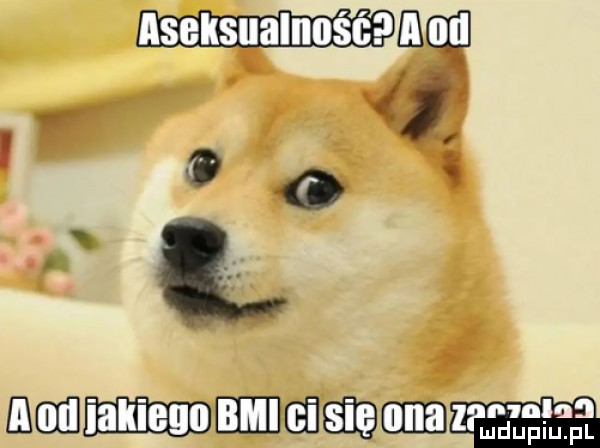 i ir i. abakankami bab elidghetbgie