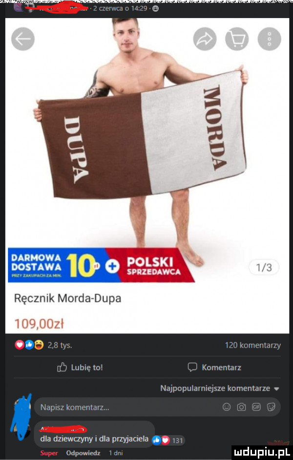 darmowa dostawa    ręcznik morda dupa a mm m komemavz mwmnmm n van dla dziewczyny i dla pnyjaclela. suce. a a