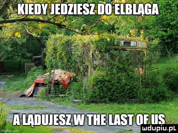 iuilnsfnrdus lu uplu pl
