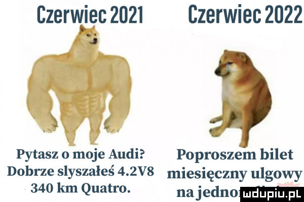 czerniec      czerwiec      j t pytasz o moje audi poproszém bilet dobrze słyszałeś    v  miesięczny ulgowy     km quatro. na jedno