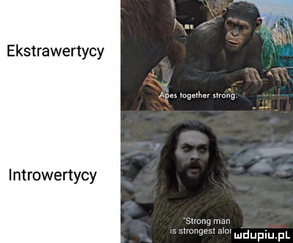 ekstrawertycy introwertycy. x      vogenher nror g strong man is stronges abo