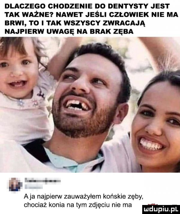 dlaczego chodzenie do dentysty jest tak ważne nawet jeśli człowiek nie ma brwi to i tak wszyscy zwracają najpierw uwagę na brak zęba aja najpierw zauważyłem końskie zęby. chociaż konia na tym zdjęciu nie ma mduplu pl