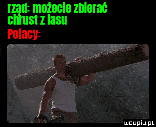 rz d możecieznierać cn ust z lasu h