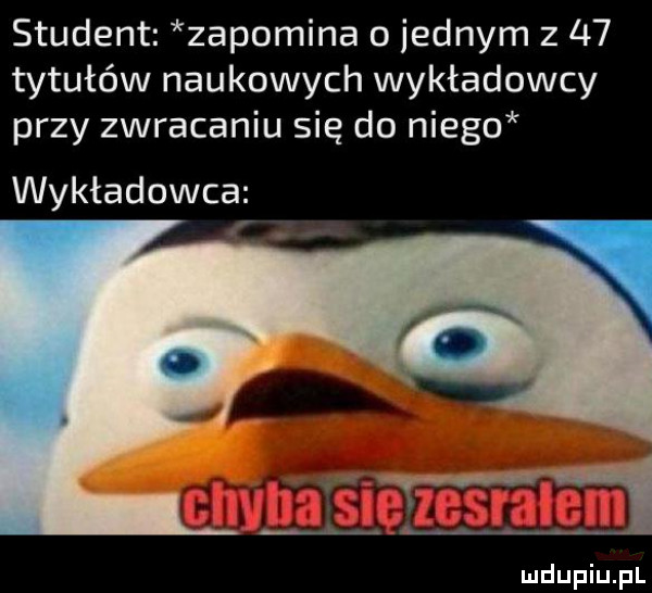 student zapomina o jednym z    tytułów naukowych wykładowcy przy zwracaniu się do niego ą wykładowca