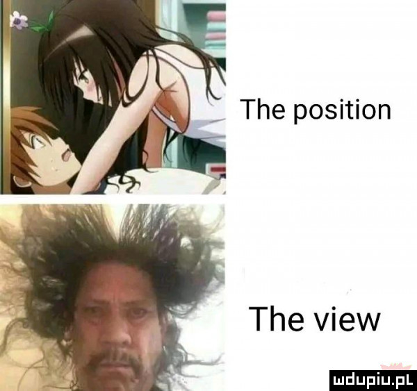tee position tee view ludu iu. l