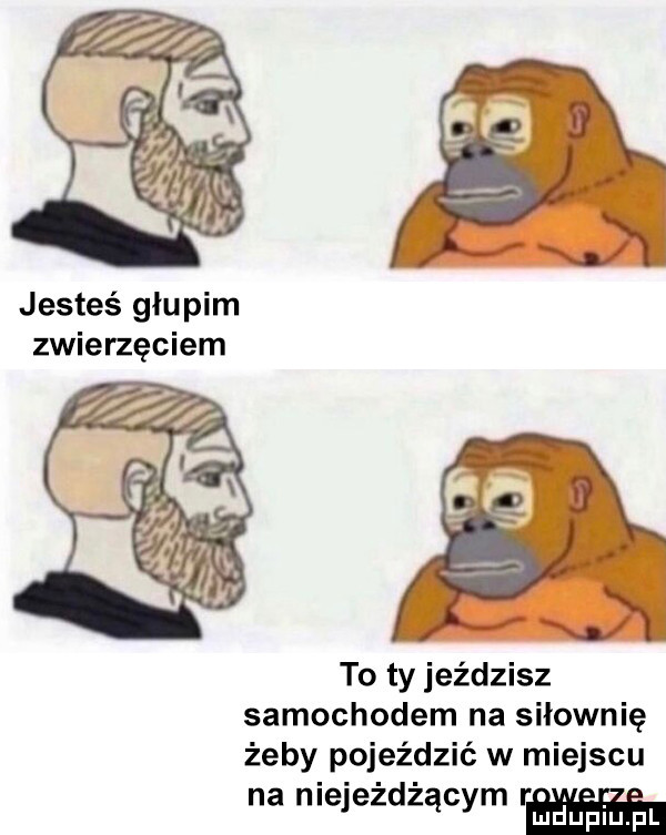 jesteś głupim zwierzęciem to ty jeździsz samochodem na siłownię żeby pojeździć w miejscu na niejeżdżącym r auplru f