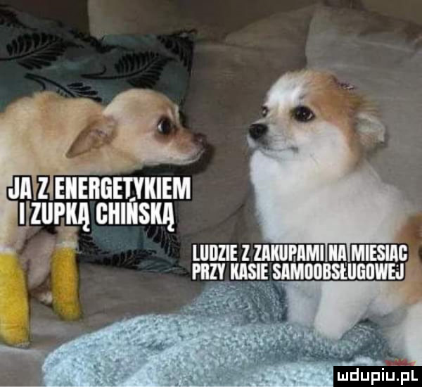 złiiinńmklm ji yzurgm culńsxą   lllljzle z zaklleami ica miesiag f piczy lu samiiobsłiigiiwej