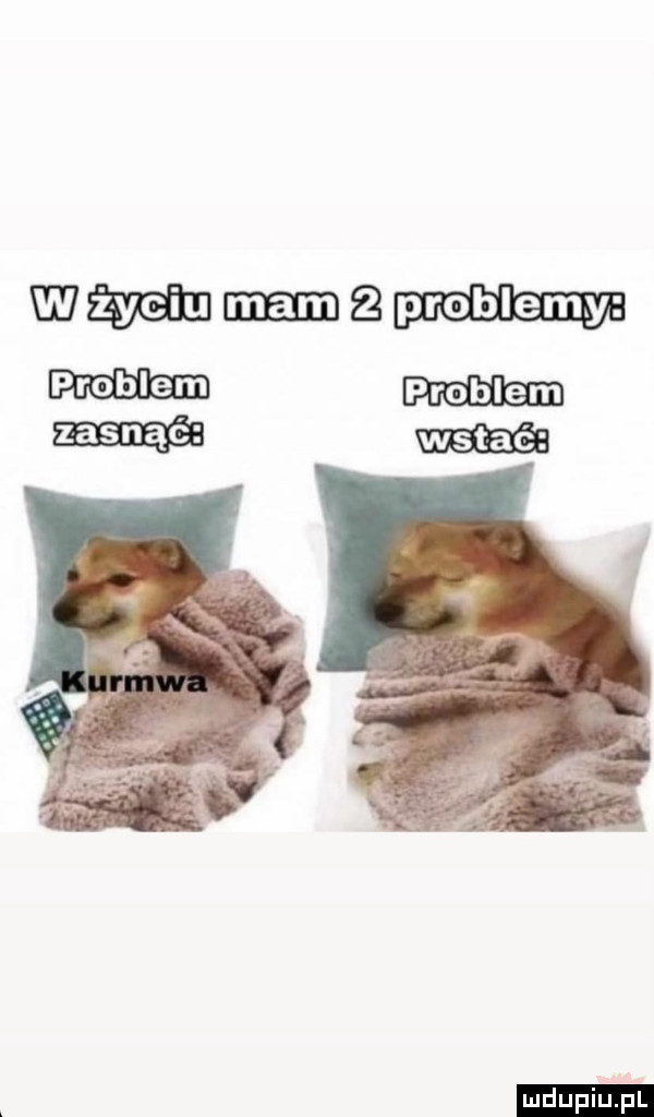 mm mm   problemy