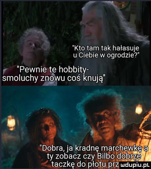 kto tam tak hałasuje u ciebie w ogrodzie r pewnie tg hobbity smoluchy zrywu coś knują qobra ja kradnę m ty zobacz czydbil lączkę do ptbﬁima mdupiupl