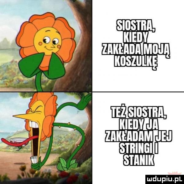 upiu pl