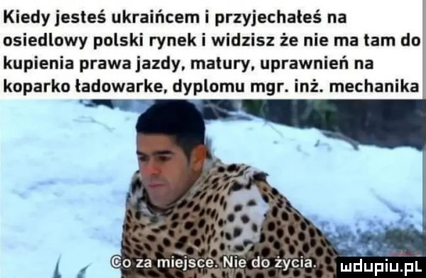 kiedy jesteś ukraińcem i przyjechałeś na osiedlowy polski rynek i widzisz że nie ma lam do kupienia prawa jazdy. matury. uprawnień na koparko ładowarce. dyplomu mgr. inż. mechanika a t go za miejsce w do życia. glia fl