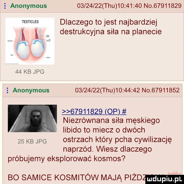 anonymous          tau          no          wsw dlaczego to jest najbardziej destrukcyjna siła na planecie i    kb jpg   anonymous          tau          no         .          qm niezrównana sila męskiego libido to miecz o dwóch    kb jpg ostrzach który pcha cywilizację naprzód wiesz dlaczego próbujemy eksplorować kosmos bo samice kosmitów mają pizd