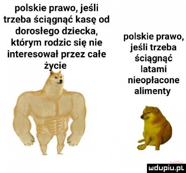 polskie prawo jeśli trzeba ściągnąć kasę od dorosłego dziecka którym rodzic się nie polskie prawo. jeśli trzeba lnteresonlałprzez całe ściągnąć z c e latami nieopłacone alimenty ludu iu. l