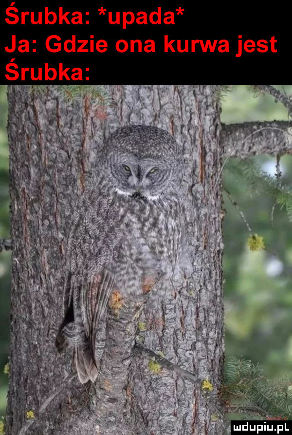 śrubka upada ja gdzie ona kurwa jest