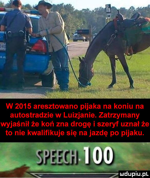 w      aresztowano pijaka na koniu na autostradzie w luizjanie. zatrzymany wyjaśnił że koń zna drogę i szeryf uznał że to nie kwalifikuje się najazdę po pijaku. mdupi u p l