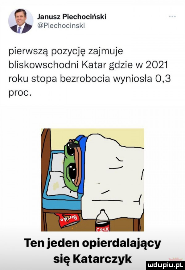 p janusz piechociński piechocinski i pierwszą pozycję zajmuje bliskowschodni katar gdzie w      roku stopa bezrobocia wyniosła     proc. ten jeden opierdalający się katarczyk