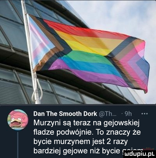 dan tee smooth dirk th  h murzyni są teraz na gejowskiej fladze podwójnie. to znaczy że bycie murzynem jest   razy bardziej gajowe niż bycie fjśgeufl