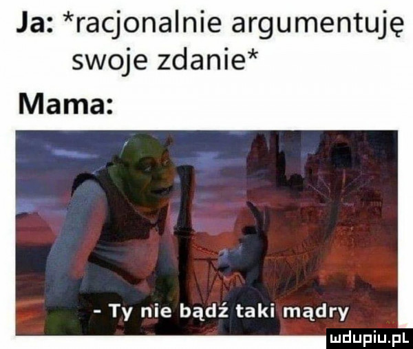 ja racjonalnie argumentuje swoje zdanie mama ty nie bądź taki mądry