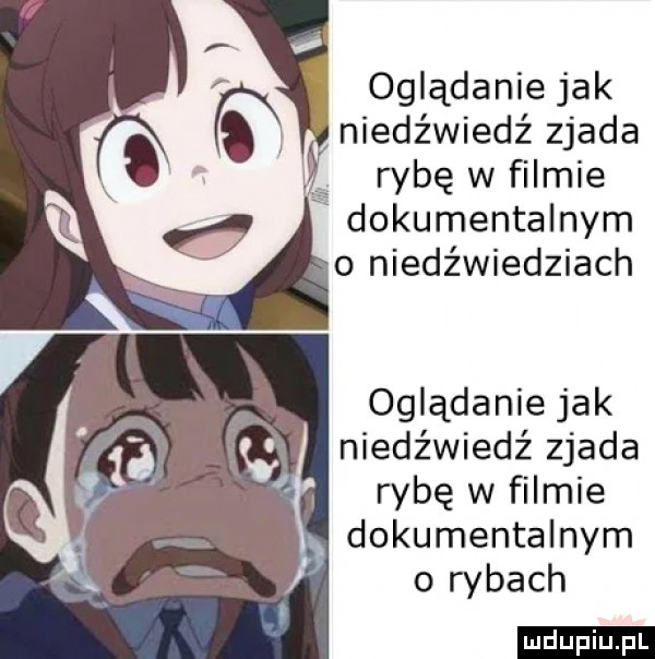 oglądanie jak niedźwiedź zjada q rybę w filmie dokumentalnym o niedźwiedziach oglądanie jak niedźwiedź zjada rybę w filmie dokumentalnym o rybach ludu iu. l