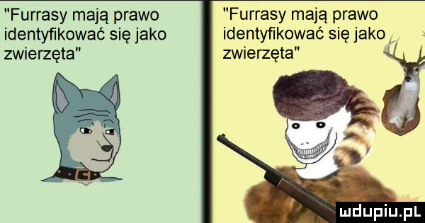 furrysy mają prawo furrysy mają prawo identyfikować się jako identyfikować się jako zwiemęta zwierzęta