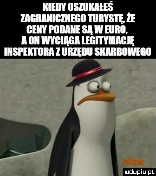 iieiy llsllliili ai mam ea iiiiys ię ie gemy i iiiiiiie si i i ll. i iii memu nin nem insi ei ilia l llllęll mmm