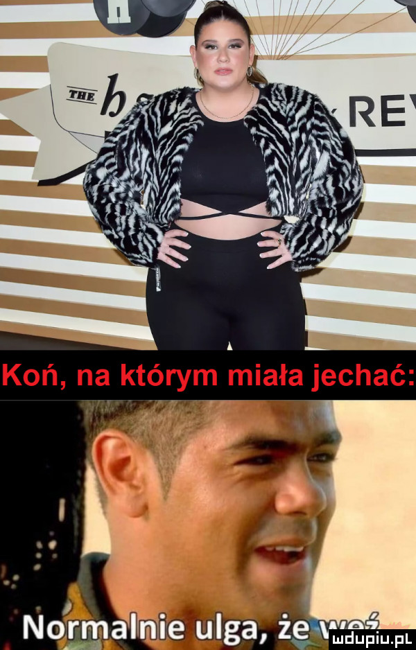 koń na którym miała jechać. e         m mdupiupl