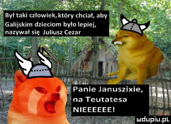 galijskim dzieciom było lepiej nazywał się juliusz cezar pa e januszixie na teutatesa nieeeeee