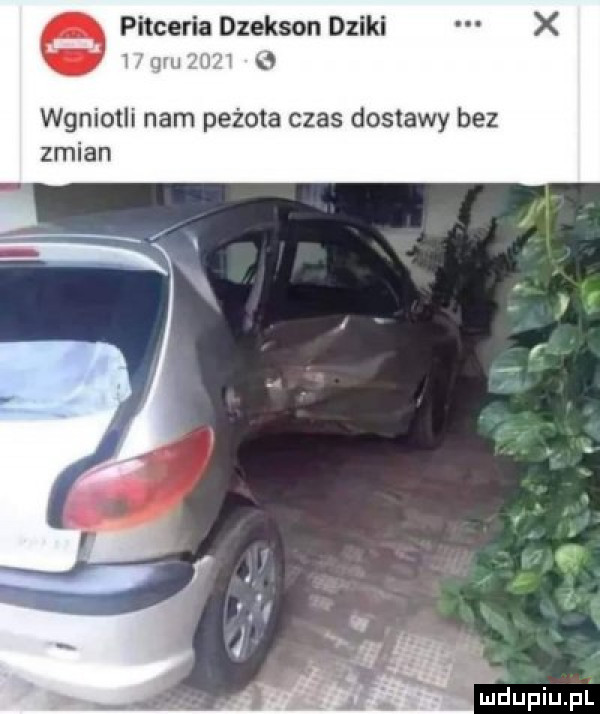 pitceria dzekson dziki w qm. w wgnietli nam pez oba czas dostawy bez zmian
