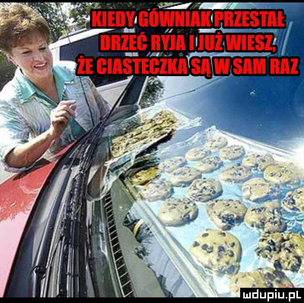 luduupi pl