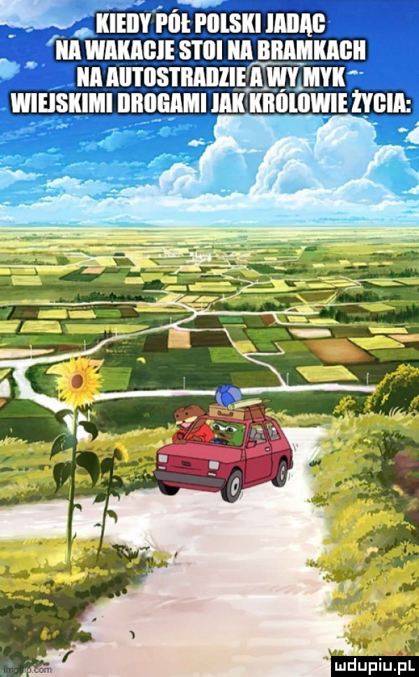 iiieiiy   poisiii iiiiiii ici. wiiiigie stlii if iiiiimiiigii iii ilii osi iiiiiiie myci wieisiiimi l l li l l iiiiiiiiiwie gam