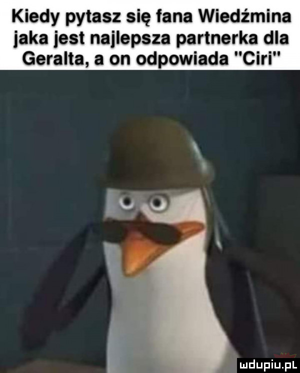 kiedy pytasz się fana wiedźmina jaka jest najlepsza partnerka dla geralda a on odpowiada cini